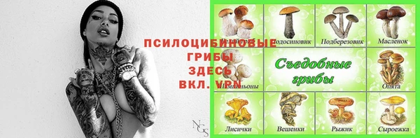 ALPHA PVP Карталы