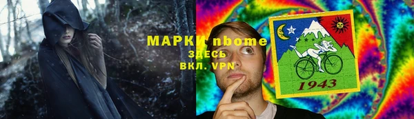 индика Касимов