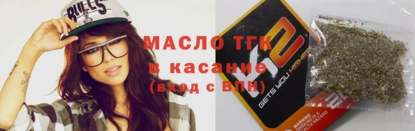 индика Касимов