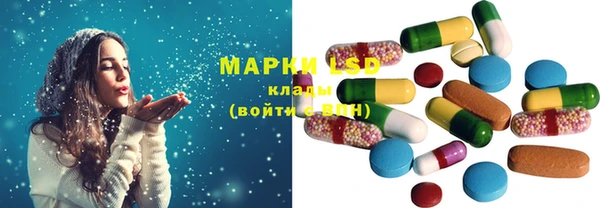 индика Касимов