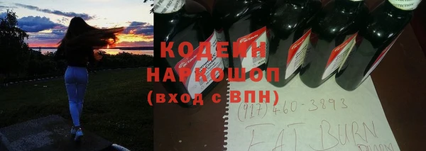 индика Касимов