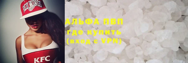 индика Касимов