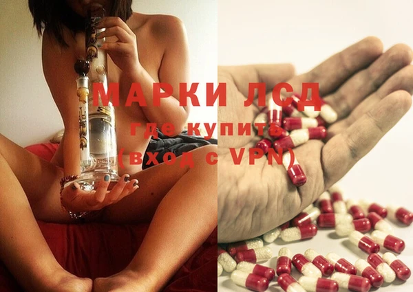 индика Касимов
