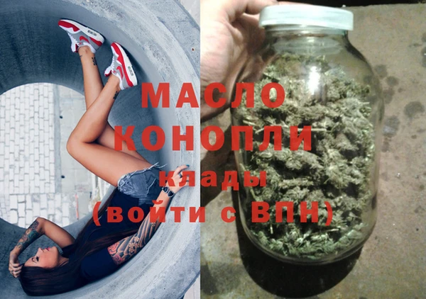 индика Касимов